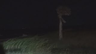 Storm surge continues to affect Sabine Lake near the Pleasure Island Marina [upl. by Blanchard689]