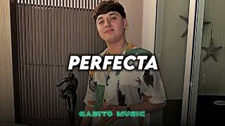 Gabito Ballesteros  Perfecta  Gabito Music [upl. by Ahsaf]