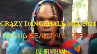 crazy dancehall mix 2024  skilibeng  teejay  busy signal  dj branham  demarco  sean paul [upl. by Perrie]