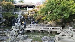 waterfall  Yangzhou china [upl. by Nnayllas226]