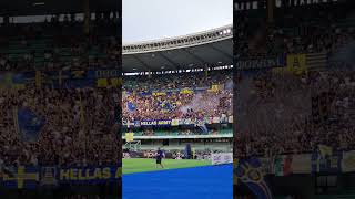 Hellas Verona Napoli la curva sud hellasverona 18082024 italianfootballclub [upl. by Anilem]