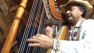 Mariano Gonzalez Master Harpist from Paraguay [upl. by Ennovehc]