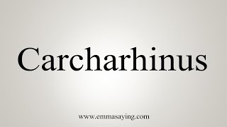 How To Say Carcharhinus [upl. by Olenolin853]