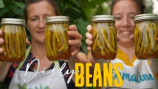 How to Can Dilly Beans Pickled Green Beans Canning Recipe [upl. by Aicekat]