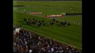 1984 Ladbrokes Ayr Gold Cup Handicap [upl. by Hoeve4]