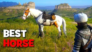 The BEST Horse in Red Dead Online [upl. by Eimmot911]