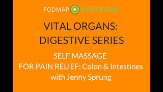 Digestive Series Stomach Pain Relief Self Massage with Jenny Sprung [upl. by Yemrots]