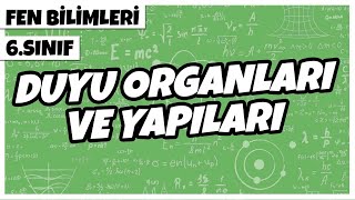 6 Sınıf Fen Bilimleri  Duyu Organları ve Yapıları  2022 [upl. by Siobhan230]