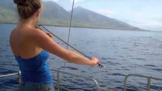 Whales Hang out to Hear Violin [upl. by Bartram]