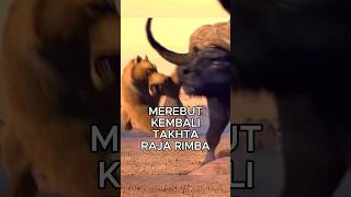 Merebut Kembali Takhta Raja Rimba cuplikanfilm [upl. by Borman]