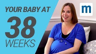 Your baby at 38 weeks  Pregnancy week by week [upl. by Enotna]