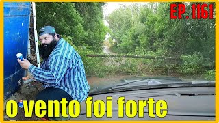 vento forte e chuva logo cedo  VLOG RURAL [upl. by Smitt]