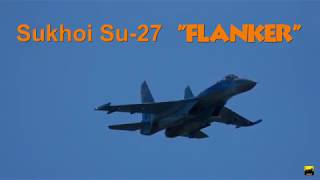 Sukhoi Su27 quotFlankerquot flight display Sanicole Airshow 2019 [upl. by Ware]