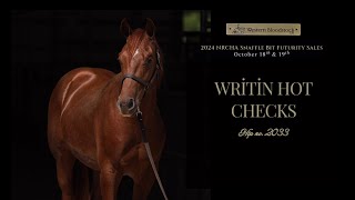 Writin Hot Checks  Hip no 2033 NRCHA Futurity Sale [upl. by Aime]