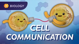 Why Do Cells Need to Communicate Crash Course Biology 25 [upl. by Cannon621]