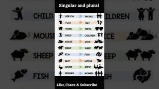 English Grammar Singular and plural Irregular plural nouns [upl. by Enyleuqcaj]