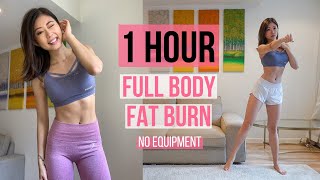 1 HOUR FULL BODY FAT BURN HOME WORKOUT Warm Up Arm amp Back Cardio Ab Leg amp Thigh Stretch  Emi [upl. by Atin608]