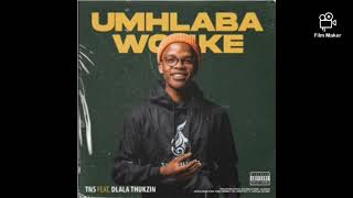 TNS  Umhlaba Wonke ft Dlala Thukzin [upl. by Lazaro]