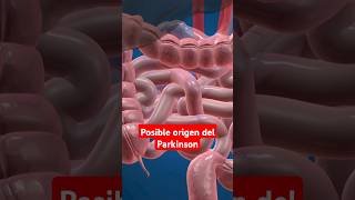 Descubrimientos recientes sobre el Parkinson [upl. by Dominik831]