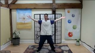 Qigong The 8 Brocades and Five Element Blend [upl. by Garvin]