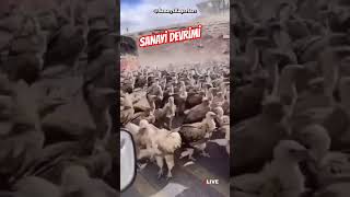 Sanayi devrimi 2024 shorts short keşfet trendingshorts asmr asmrsounds original remix [upl. by Anai]