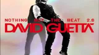 David Guetta Play Hard feat Ne Yo Akon Clean [upl. by Eiclud]