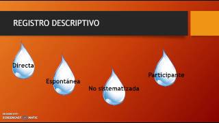 REGISTRO DESCRIPTIVO [upl. by Natividad]