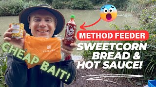 Method Feeder Fishing With Bread Sweetcorn and Siracha Hot Sauce Cheap Bait Test [upl. by Leoy]