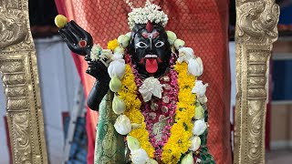 🚩🙏🔱🕉️🪔Ma Aghorakaali Arti 🔴 Live Darshan 🪔 🕉️🔱🙏🚩 [upl. by Panaggio]