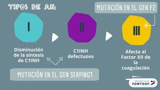 ANGIOEDEMA HEREDITARIO  INMUNOLOGÍA [upl. by Acisey]