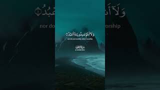 Surah AlKafirun 109  Beautiful Quran Recitation shorts quran [upl. by Mungovan]