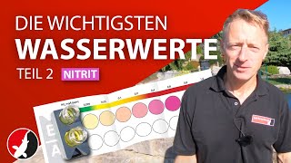 Die wichtigsten Wasserwerte im Gartenteich  Teil 2 Nitrit [upl. by Niabi]