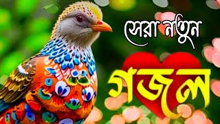 সেরা নতুন গজল। ghazal bangla gazal islamic gazal notun ghazal গজল 2024 নতুন gazal gojol গজল [upl. by Chenay723]