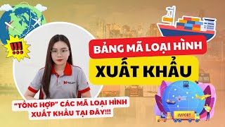 Phân loại hàng hóa dễ dàng với BẢNG MÃ LOẠI HÌNH XUẤT KHẨU  Tổng hợp đầy đủ amp chi tiết [upl. by Nugesulo]