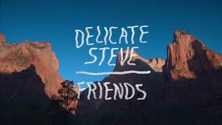 Delicate Steve  quotFriendsquot Full Album Stream [upl. by Isej]