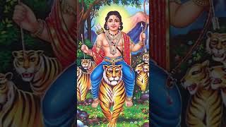 PalabishegamAyyappa songs shorts reels ayyappa sabarimala [upl. by Ille892]