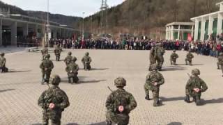 Armée Suisse  Ecole de Section  Section Durussel Bat 1431 2017 [upl. by Assenab]