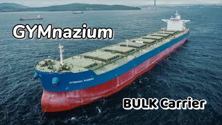 GYMnazium on BULK Carrier  Life at Sea  Seaman Vlog [upl. by Nomra]