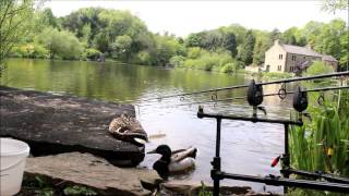 Fishing With The Duck  Raygill Lakes  Lothersdale  28th May 2016 [upl. by Seuqcaj]