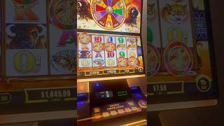 SUPER RARE 5 COINS ON BUFFALO GOLD REVOLUTION SLOT slots casino jackpot gambling slot vegas [upl. by Ibok]