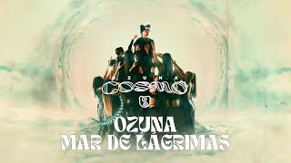 Ozuna  Mar De Lágrimas Visualizer Oficial  COSMO [upl. by Eggett487]