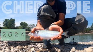 pesca spinning alle cheppie nel fiume Taro 2024 [upl. by Elleneg750]