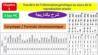 Transfert de linformation génétique au cours de la reproduction sexuée شرح بالداريجة [upl. by Caitrin]