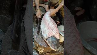 Fish Cutting Skills  Amazing Giant Rohu Fish Cutting By Expert Fish Cutter  shorts fishing [upl. by Stearne107]