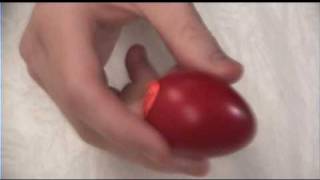 Wooden Egg Shaker PER169 [upl. by Ynnam165]