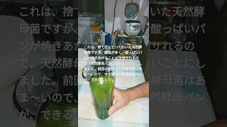 【天然酵母菌でパン】この菌では、断念ですという動画。 [upl. by Leverett]