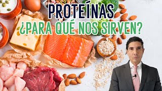 Importancia de las proteínas en nuestra dieta ¿Por qué son esenciales para nuestro cuerpo [upl. by Dorinda615]