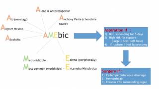 Amebic amp Pyogenic Liver Abscess [upl. by Egamlat]