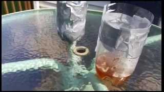 Homemade Mosquito Trap Review [upl. by Drarrej]