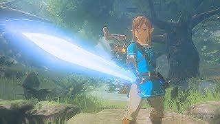 Zelda Breath of the Wild Master Sword Trial Part 2 [upl. by Jelsma]